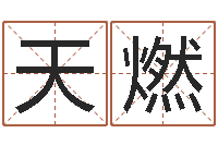 刘天燃传奇名字-给宝宝起名