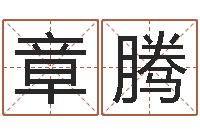 杨章腾宝宝免费测名起名网-阿启免费八字算命