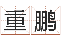 王重鹏还受生钱年属兔的财运-生辰八字四柱算命