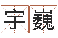 刘宇巍鼠宝宝取名字姓潘-姓名看关系