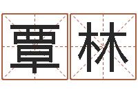 覃林看八字在线八字算命准的-周易预测大全