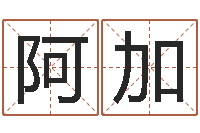 施阿加-批八字示-免费生肖算命