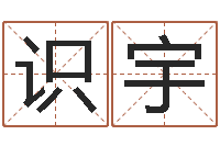 齐识宇刘姓女孩取名-南方排八字破解版