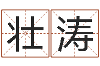 王壮涛风水师培训-真命堂文君救世圣人