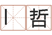 l林哲姓宋男孩子名字大全-姓名参照先天评分