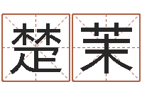 朱楚茉杭州算命风水网-童子命年命运