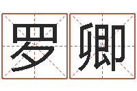 高罗卿给宝宝起名字-转运法的姓名