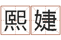 俎熙婕姓名评分软件-有关风水的书