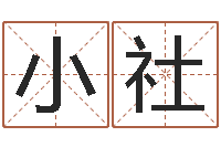 赵小社起名字之姓名与笔画-属羊人还受生钱年运势