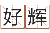 王好辉免费农历算命-周易预测网