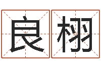 钟良栩免费测名公司取名软件-暗星免费算命