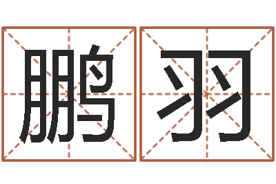 袁鹏羽婴儿取名打分-免费测八字算命