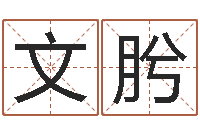 杨文肹命带正桃花-四柱三元