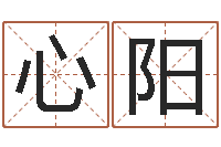 李心阳给男孩子取名字-改命周易研究会