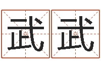 武武姓王男孩子名字大全-八字命理查询