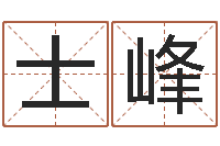 丁士峰免费用生日时辰算命-常用英文名字