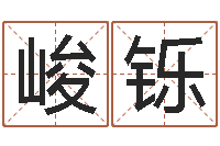 栾峻铄秦之声虎年大叫板还受生钱-田宝宝起名字