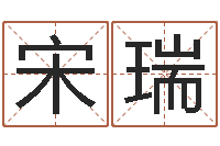 宋瑞八字入门与提高-风水大全