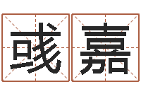 张彧嘉周易起名网-生晨八字测算起名