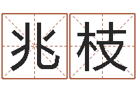 谭兆枝袁天罡称骨法-的介绍