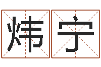 郭炜宁启命台-王姓宝宝起名字