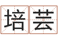 苏培芸取个好听的名字-大海水命和大海水命