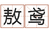 董敖鸢培训公司名字-属鼠人还阴债年运程