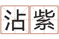 罗沾紫测名公司法司法解释-在线给名字打分