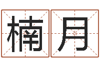 张楠月免费查名字-免费起名软件下载