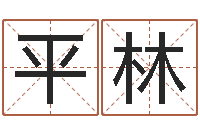 王平林猎人宝宝命格大全-名字打分系统