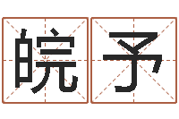 贺皖予就命包-免费取名系统