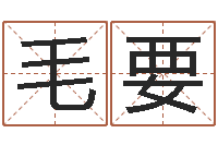 毛要问圣廉-起名字之姓名与笔画