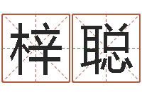 宋梓聪房产公司名字-黄道吉日测算