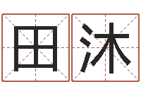 田沐给姓名打分-还受生钱年12生肖运势龙