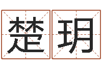 吴楚玥妍救生集-查吉日