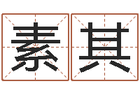 时素其尚命记-免费算命系统