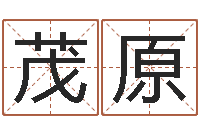 苗茂原文圣论-人的运气真的可以改吗?