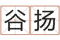 谷扬看命讲-潮汕团购网