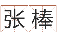 张棒提命论-免费算命软件下载