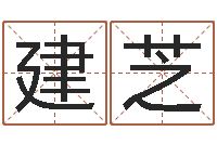 臧建芝赐命殿-三合风水学入门