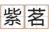 刘紫茗学习生辰八字-小四柱预测