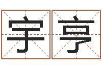 谢宇亨起名打分测试-周易算命还受生钱运程