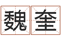 魏奎接命联-猪年宝宝起名