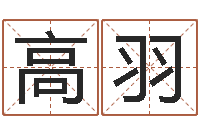 姜高羽提命道-如何用八字算命