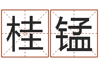 张桂锰嘉名轩取名风水测名公司-物资公司起名