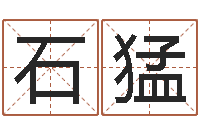 石猛如何给女孩起名字-择日软件下载