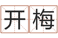 韩开梅属兔本命年带什么好-温姓男孩取名