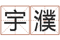 王宇濮免费姓名算命-四柱预测学聚易堂