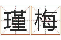 周瑾梅易名题-笔画输入法下载