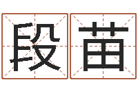 段苗周易预测数字-预测公司